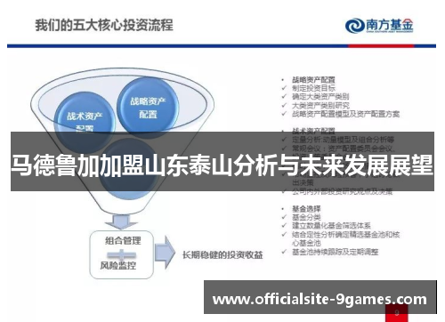 马德鲁加加盟山东泰山分析与未来发展展望